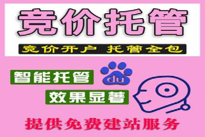 SEM代运营公司案例：实战经验分享